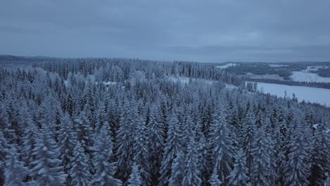 The-frozen-lake-and-forest-near-Borgvattnet,-Sweden