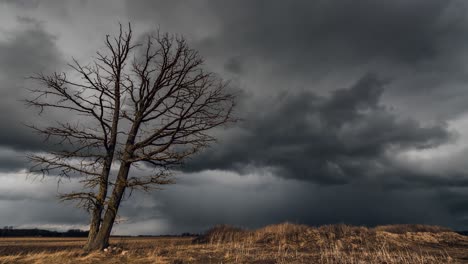 Dark-stormy-clouds-in-the-sky-above-lonely-tree-in-the-fields