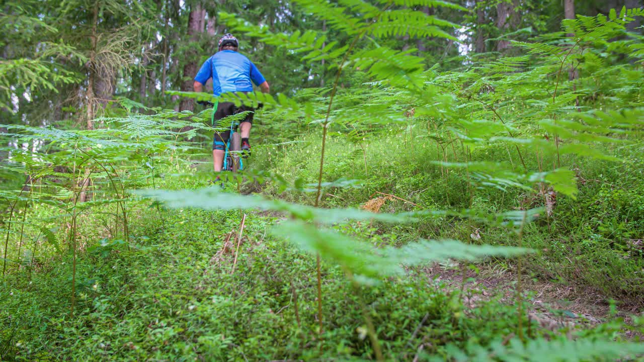 un hombre activo montando una bicicleta de montaña en un camino oculto en medio de un bosque verde