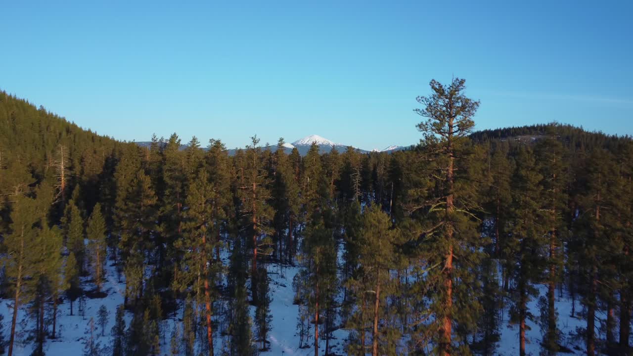 Volando tra gli alberi nella Foresta Nazionale di Deschutes per rivelare le Montagne Cascade in Oregon - Monte Bachelor