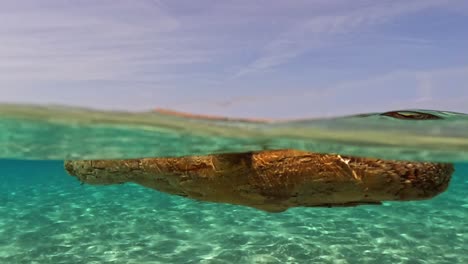 Half-underwater-scene-of-tree-trunk-floating-in-crystal-clear-sea-water