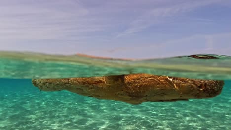 la mitad de la escena submarina del tronco de un árbol flotando en agua de mar cristalina