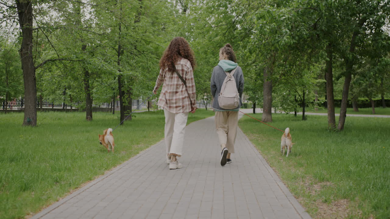 Two Women Walking Dogs in a Park