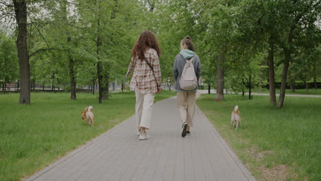 two women walking dogs in a park