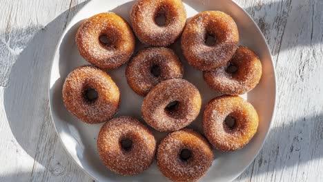 freshly baked sugar donuts on a white plate