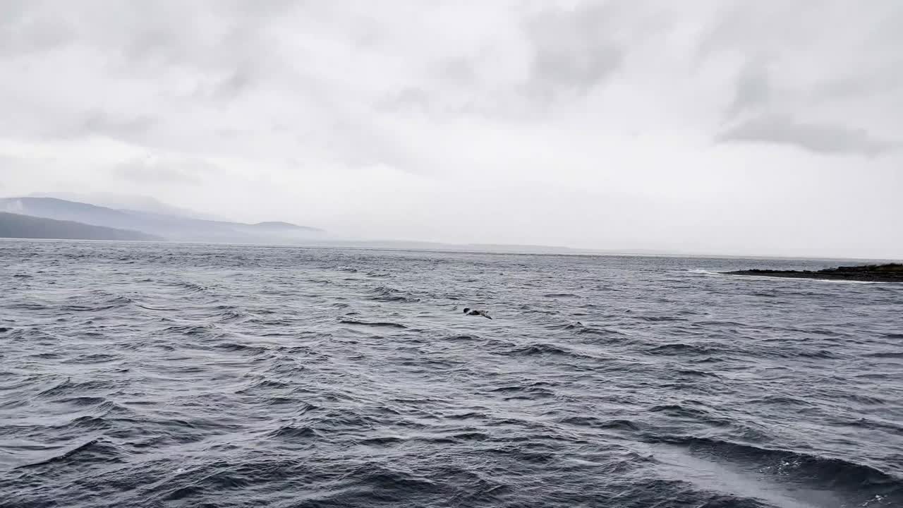 바다 건너 보트 여행