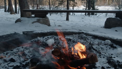 Tiro-De-Plataforma-Rodante-De-Llamas-De-Fogatas-Ardiendo-En-El-Bosque-De-Invierno,-Nieve-En-Un-Banco