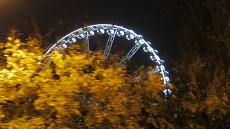 ferris wheel night view