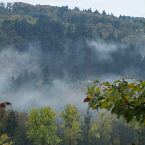 Nebel-Im-Wald-Der-Eifel-Deutschland