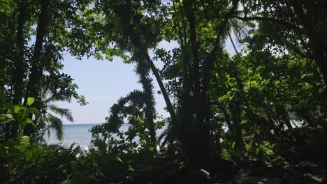 looking back at the ocean from a jungle island