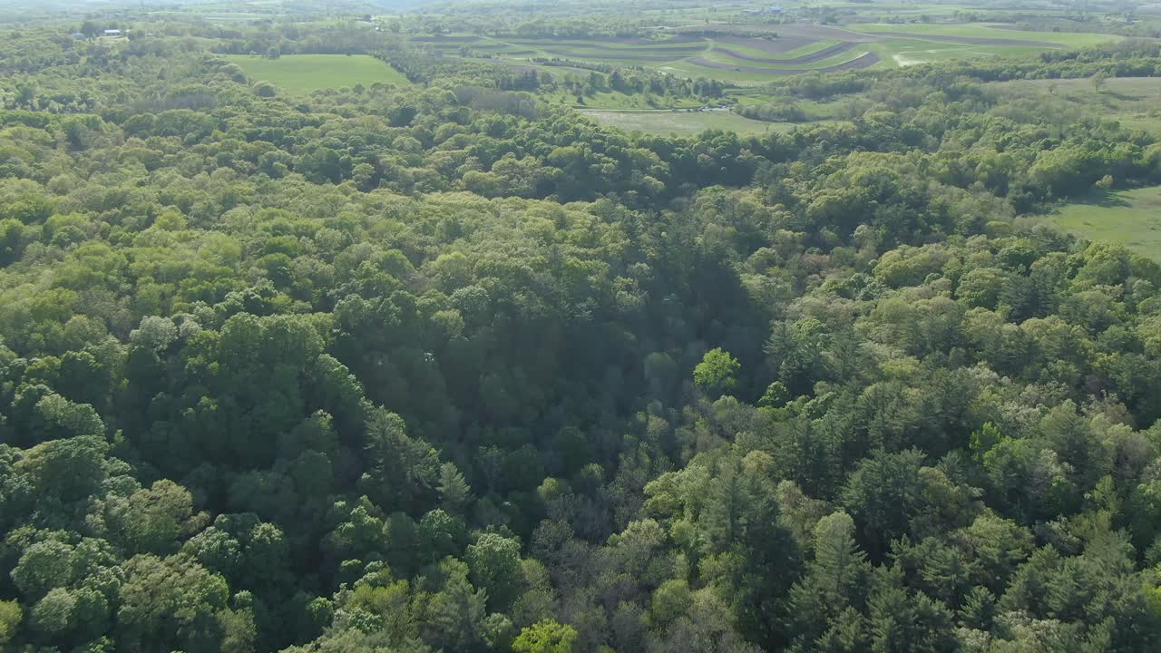 antena de terreno accidentado cubierto de denso follaje y prados durante una calurosa y soleada tarde de verano
