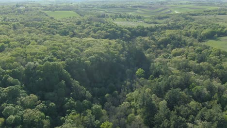 aerial of rugged terrain covered in dense foliage and meadows during a hot and sunny summer afternoon