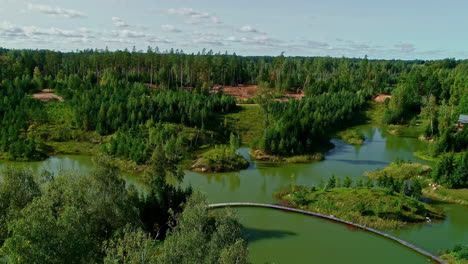 a wide establishing shot of river distributaries in the forest landscape