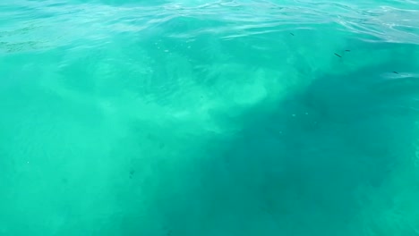 emerald green and blue calm indian ocean water background