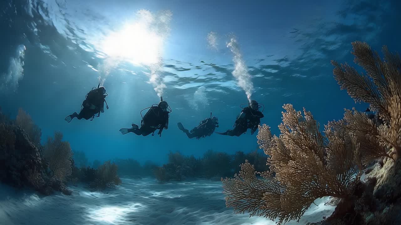 Parıldayan güneş ışığı altında canlı mercan resiflerini zarafetle keşfeden bir grup dalgıcın yer aldığı büyüleyici bir su altı sahnesi, sakin bir deniz atmosferi yaratıyor.