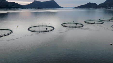 Aerial-pullback-from-circular-salmon-pens-in-ocean,-polar-night