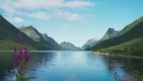 calm fjord and scenic mountains in gryllefjord, senja, norway - timelapse