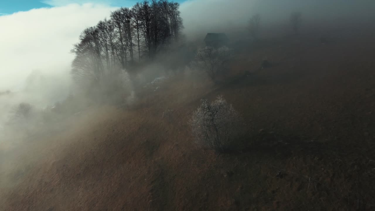 una de las mejores imágenes con niebla, árboles y una cabaña en la zona montañosa de sirnea en rumania