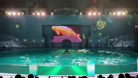 aquatic show in an illuminated arena with projected visuals and a performer in tokyo