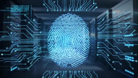 exploring the intersection of digital security and biometrics: a close-up on fingerprint scanning technology in a modern cyber environment