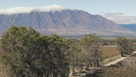 Beautiful-image-of-Torrontés-and-Malbec-vineyards-at-the-foothills-of-a-stunning-Andean-mountain-near-Cafayate,-Salta-Province