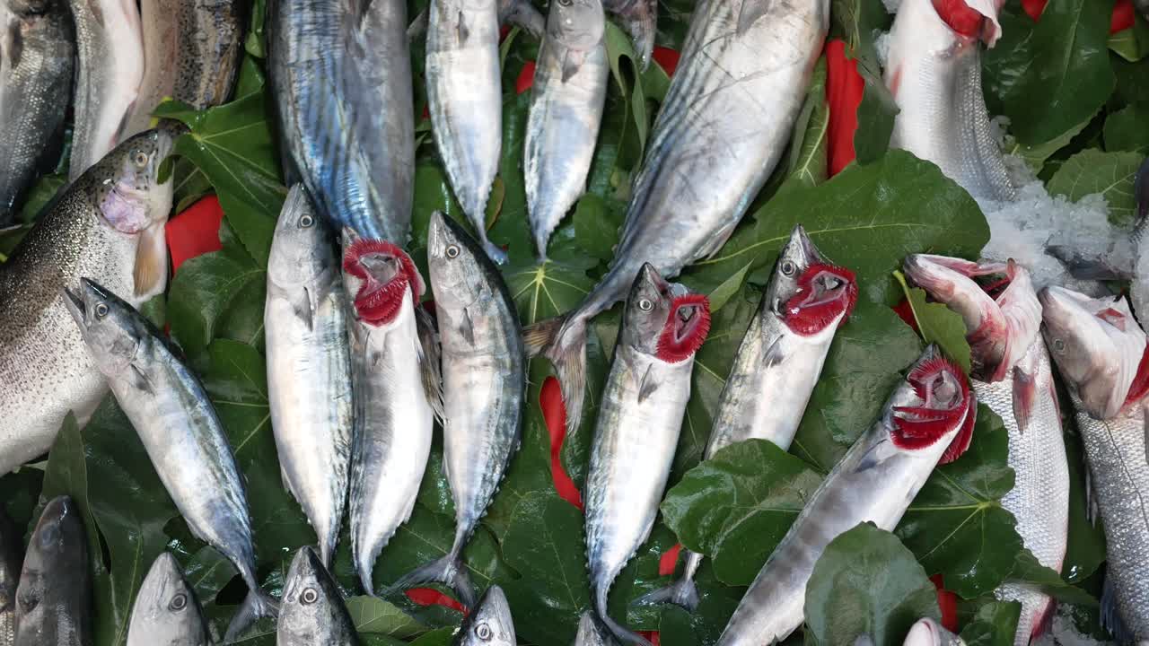 exhibición de pescado fresco en un mercado