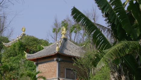 rural buddhist pagoda in vietnam with palm tree