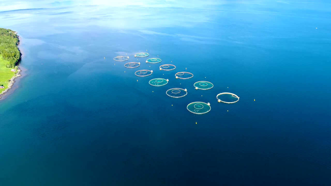 노르웨이에서 연어  ⁇ 시를 하는 공중 촬영