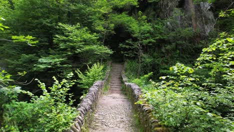 Puedes-Encontrar-Este-Antiguo-Puente-De-Arco-De-Piedra-Cerca-De-Verbania.