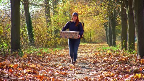 a woman walks along a leaf-covered path in an autumn park, holding a box. the vibrant colors and scenic surroundings create a peaceful atmosphere as she enjoys the season.