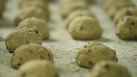 baker putting bread dough with raisins on a baking tray