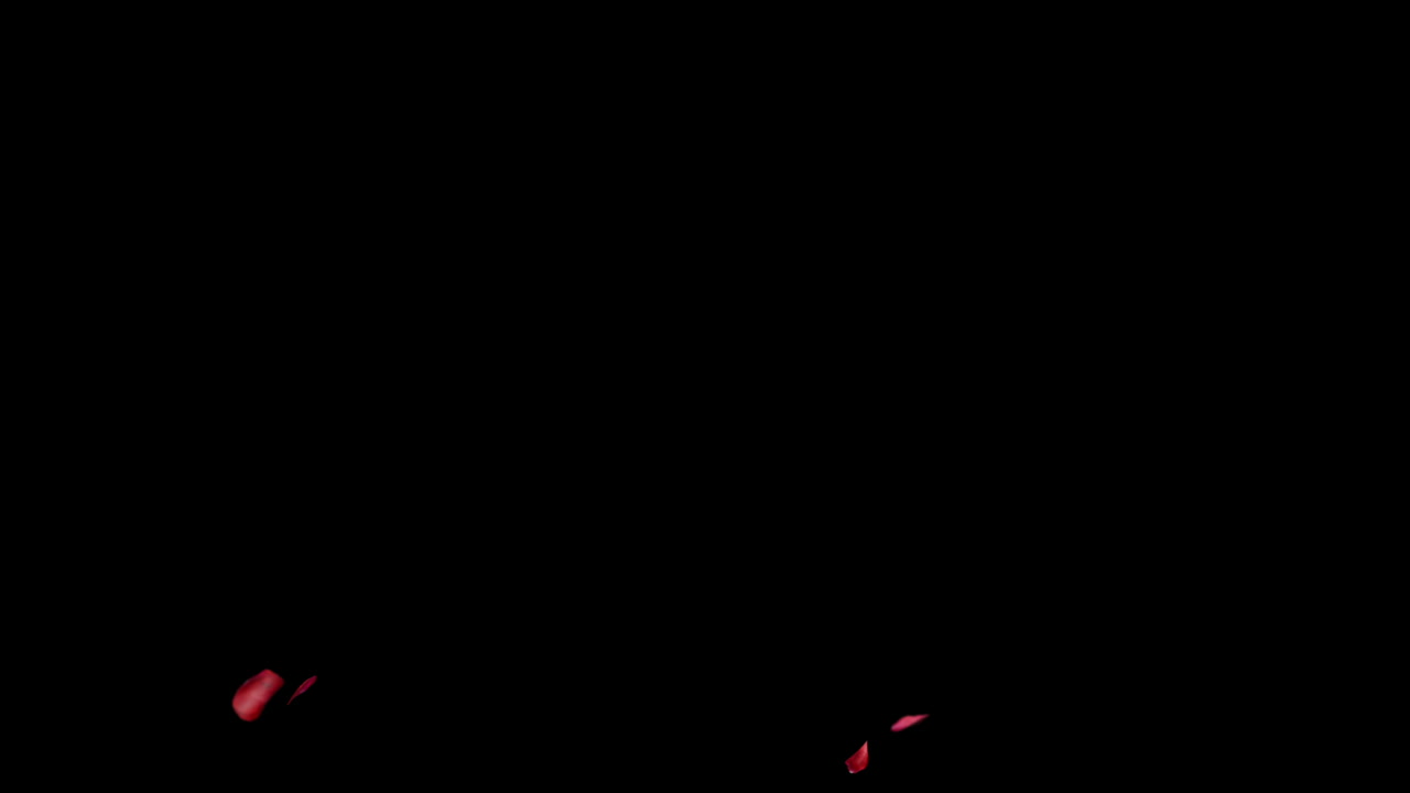 떨어지는 장미 잎자루