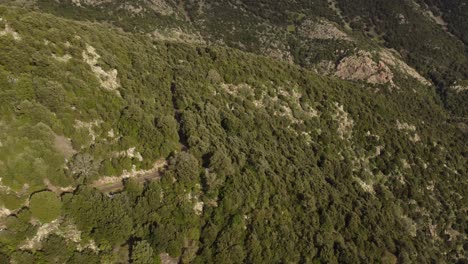 Epic-aerial-drone-shot-of-motorcross-going-down-hill-on-beautiful-wild-Sardinian-landscape