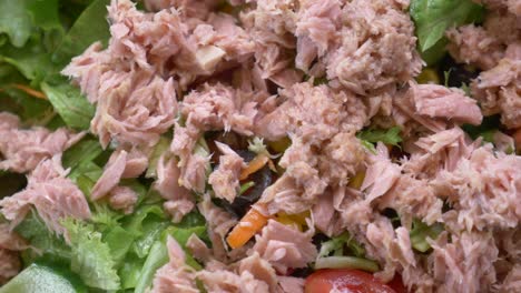 tuna salad with vegetables