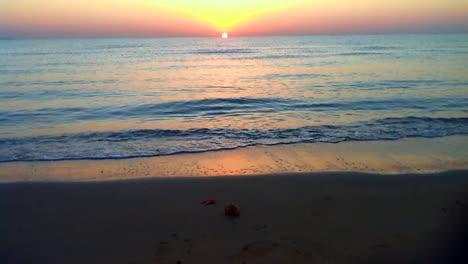 watching the early morning sun rise across the ocean
