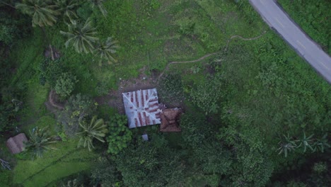 Top-down-of-Indonesian-house-with-palm-trees-along-road,-aerial