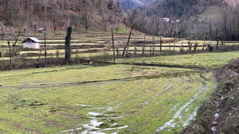 Reisfeld,-Bauernhof,-Feld,-Huhn,-Ländliches-Zuhause,-Tier,-Haustier-Darin-Und-Eine-Berglandschaft,-Die-Im-Winter-Mit-Schnee-Bedeckt-Ist,-Die-Natur,-Weite-Aussicht,-Malerische-Landschaft-Von-Hyrkania-Im-Iran,-Wundervolle-Waldhügel