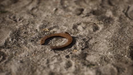 one old rusty metal horseshoe