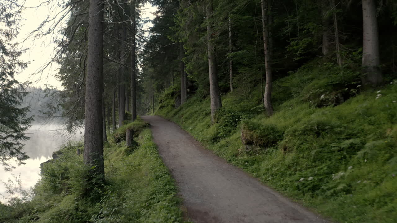 sendero de montaña por el bosque verde al lado del lago caumasee cerca de flims, en los grisones, suiza