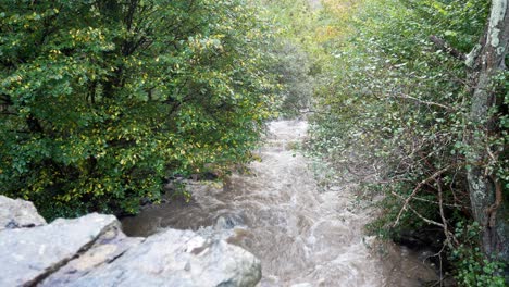 Fuerte-Fuerte-Lluvia-Inundando-Río-Salpicando-Tormenta-Agua-Bosque-Desierto-Muñequita-Derecha