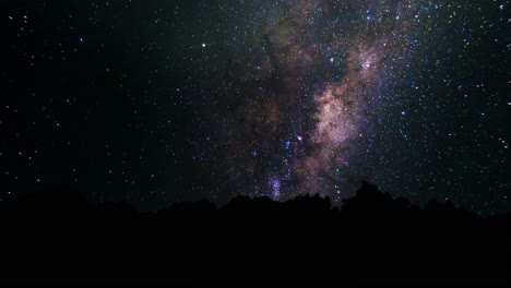 vía láctea sobre una silueta de bosque