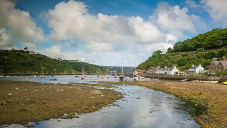 Fishguard-4K-00