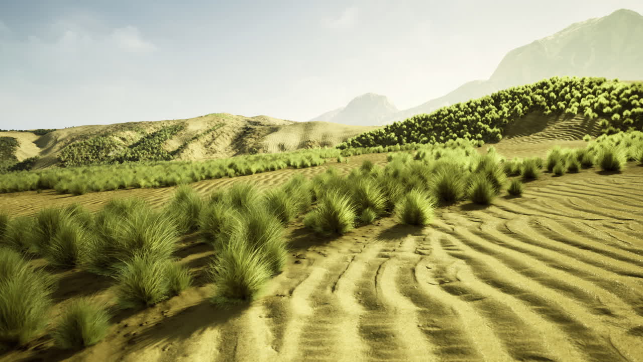 Bright sunlight illuminates a vast landscape of rolling hills and lush grass