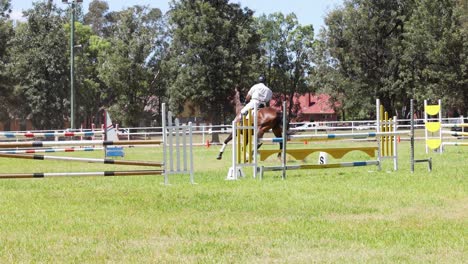 horse and rider jumping over obstacles in arena