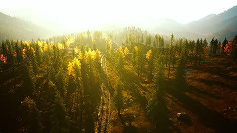 sunrise over mountain train tracks in autumn forest