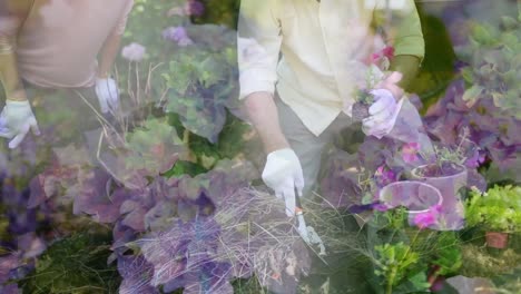 composite video of trees against caucasian senior couple gardening together in the garden