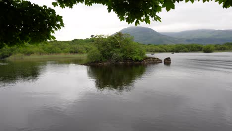 toma estática de una isla cubierta de exuberante vegetación en un lago sereno