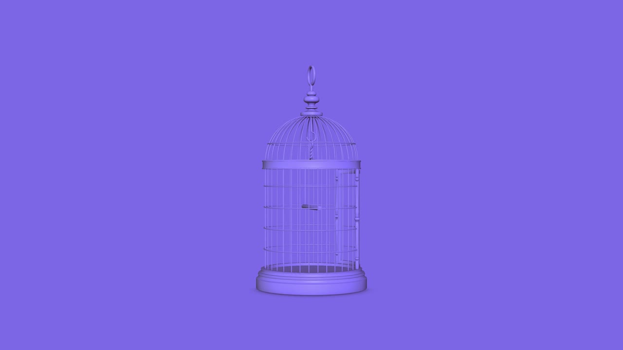 장식적인 새  4k