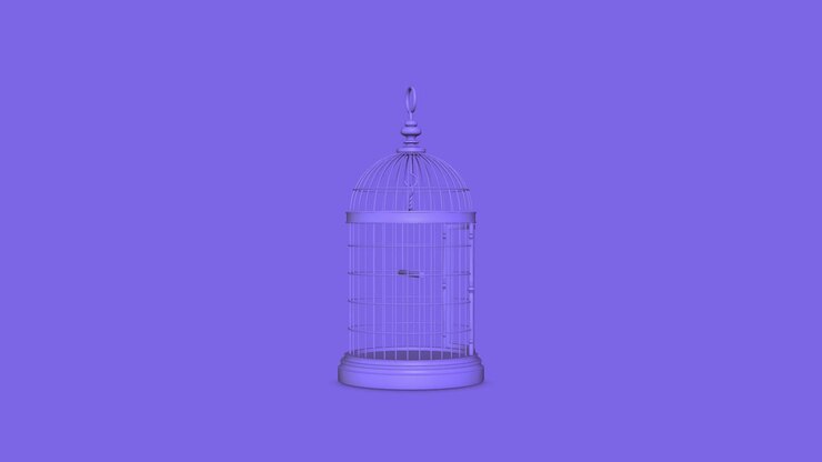 Decorative birdcage 4K