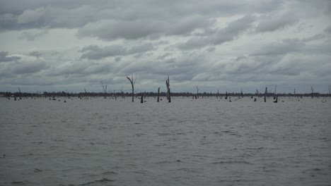 australian lake with trees pan right on windy cloudy rainy day